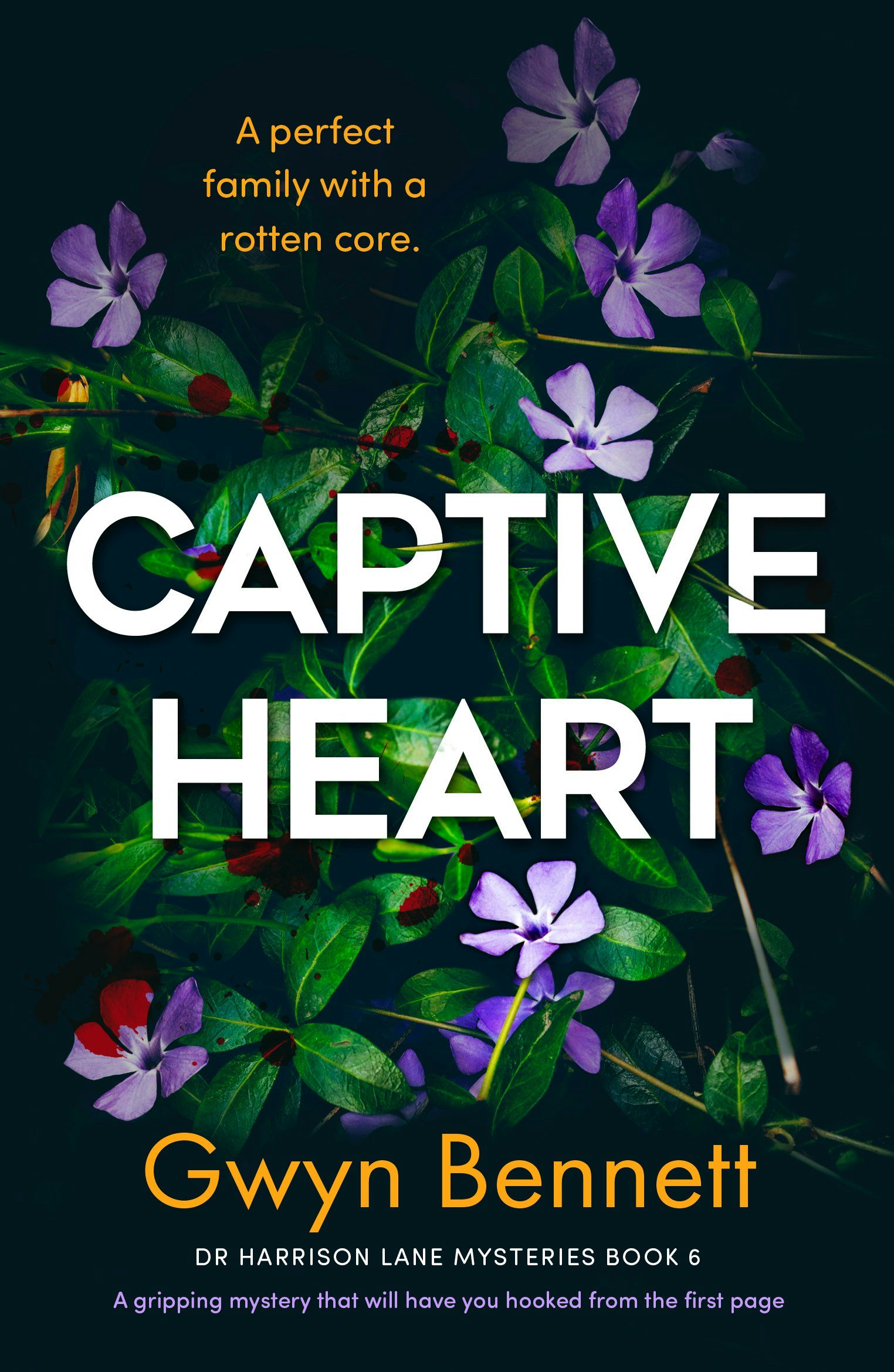 Book cover image for Captive Heart ISBN: 9781805080244